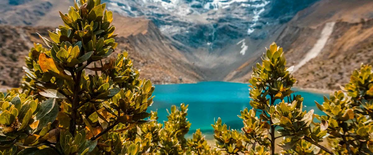 Tour Humantay Lake  Full day.
