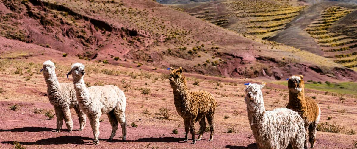 Rainbow Mountain Tour 1 Day