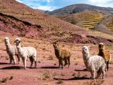 Rainbow Mountain Tour 1 Day