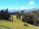 Peru Adventures Santa Cruz Ulta Valley 11 Days / 12 Nights