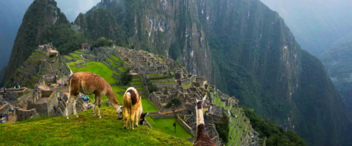 Machu Picchu Tour 1 Day