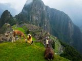 Machu Picchu Tour 1 Day